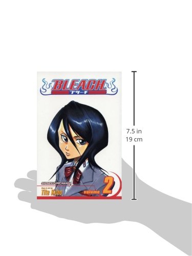 Bleach, Volume 02 - Booksondemand
