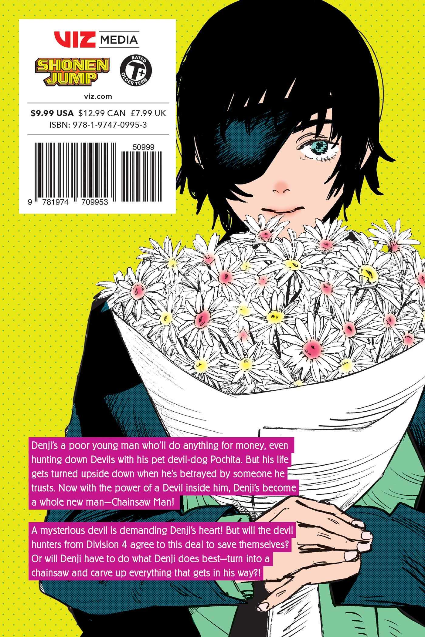 Chainsaw Man, Vol. 3 - Booksondemand