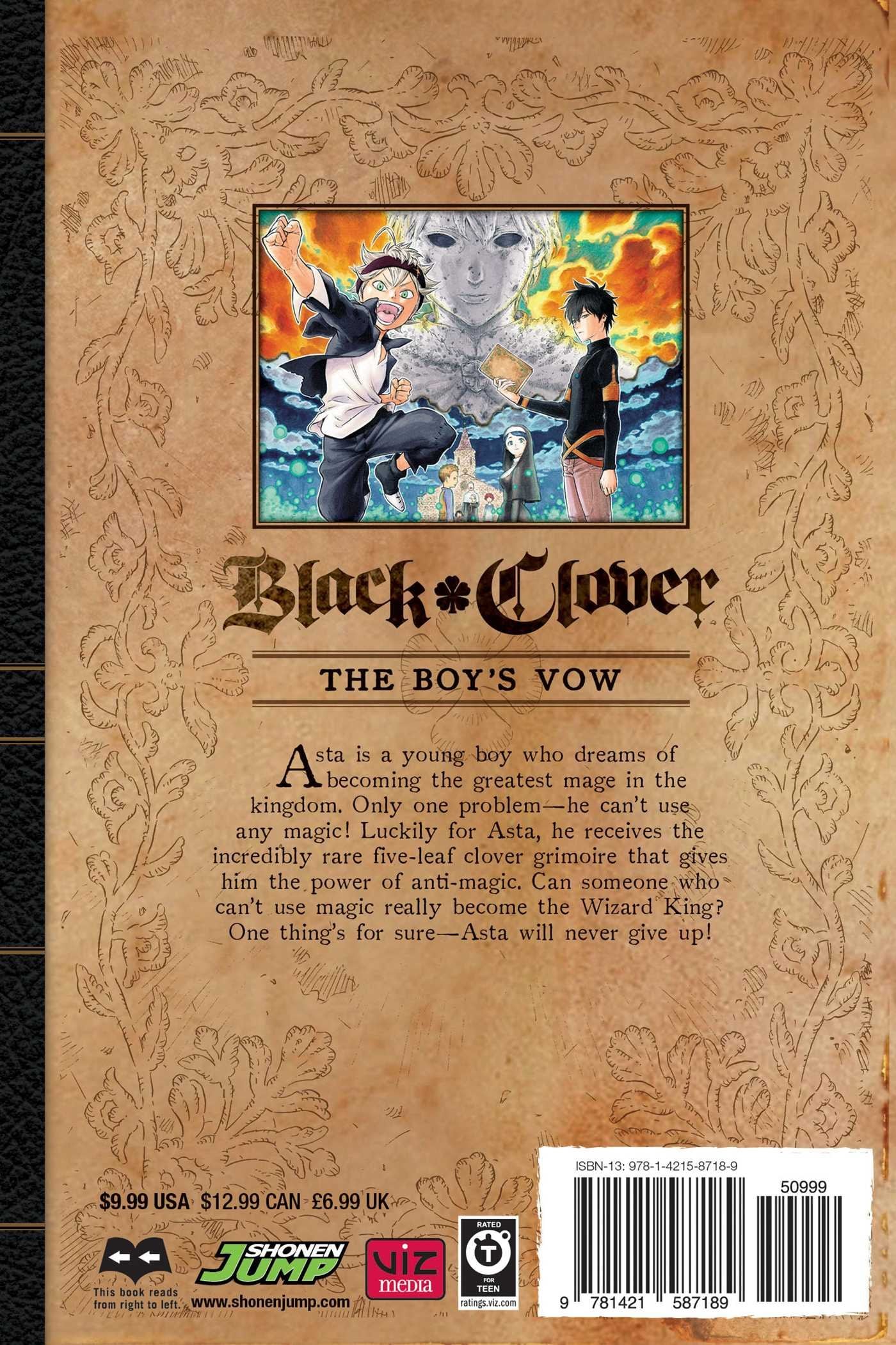 Black Clover Volume 1 - Booksondemand