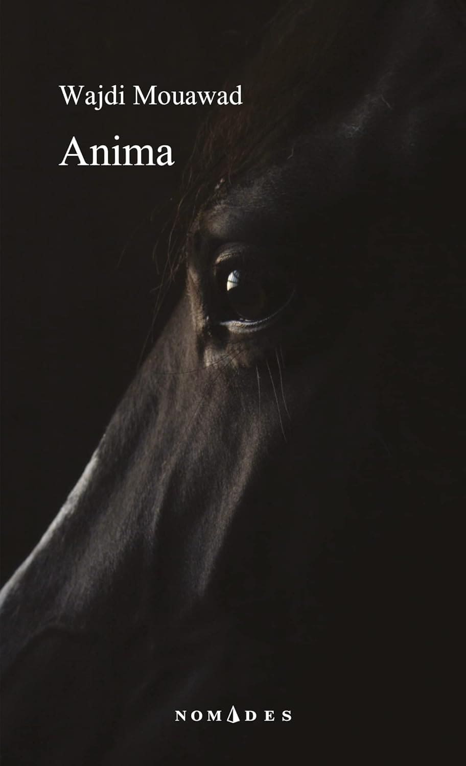 Anima by  Wajdi Mouawad  - Lorsqu'il découvre le meurtre de sa femme, Wahhch Debch est tétanisé : il doit à tout prix savoir qui a fait ça, et qui donc si ce n'est pas lui ?