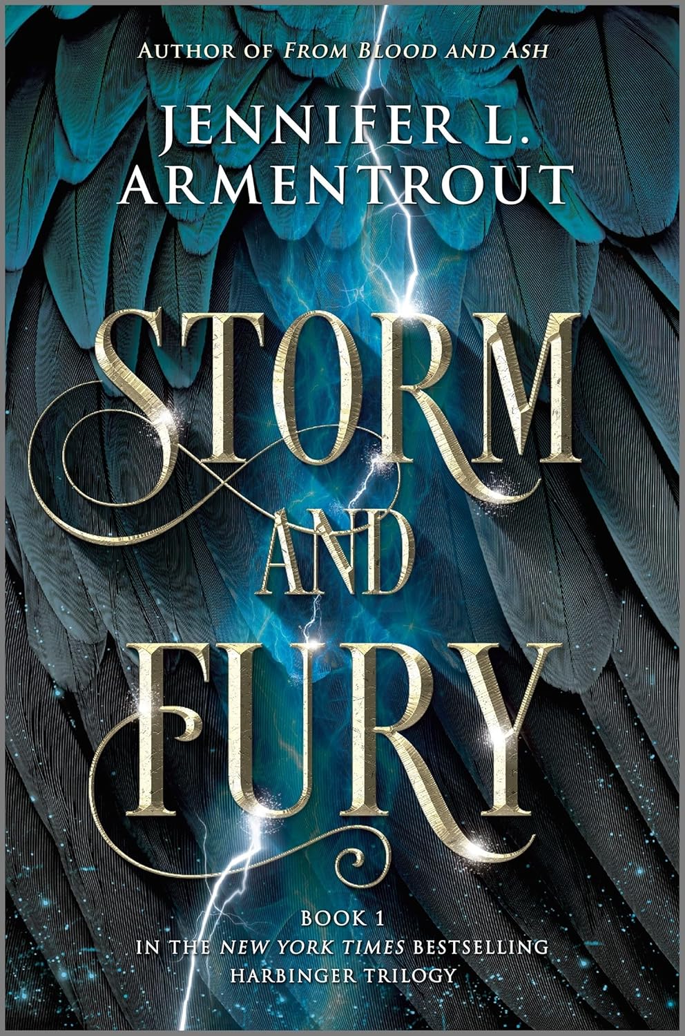 Storm and Fury