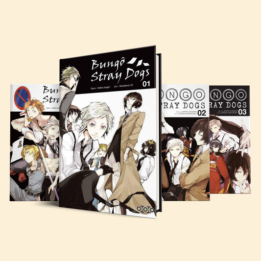 Bungo Stray Dogs 4 Volumes (Volume 1-4)