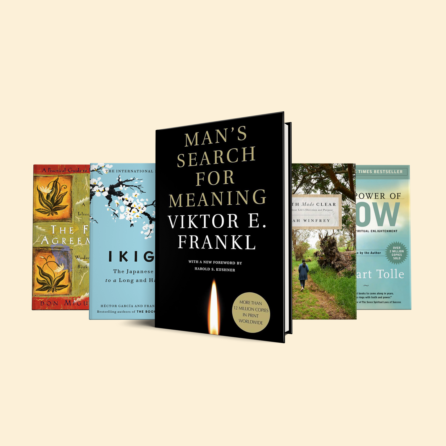 5 Books for Finding Purpose and Meaning in Life: Man’s Search for Meaning, The Path Made Clear, The Power of Now, Ikigai, The Four Agreements