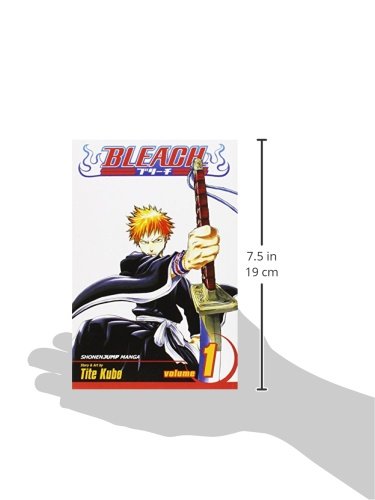 Bleach Volume 1 - Booksondemand