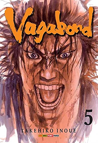 Vagabond, Volume 05