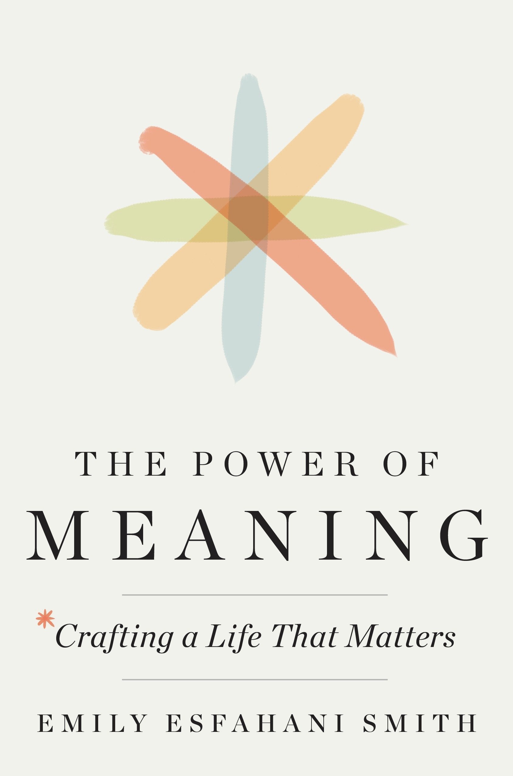 The Power of Meaning: Crafting a Life That Matters - Booksondemand