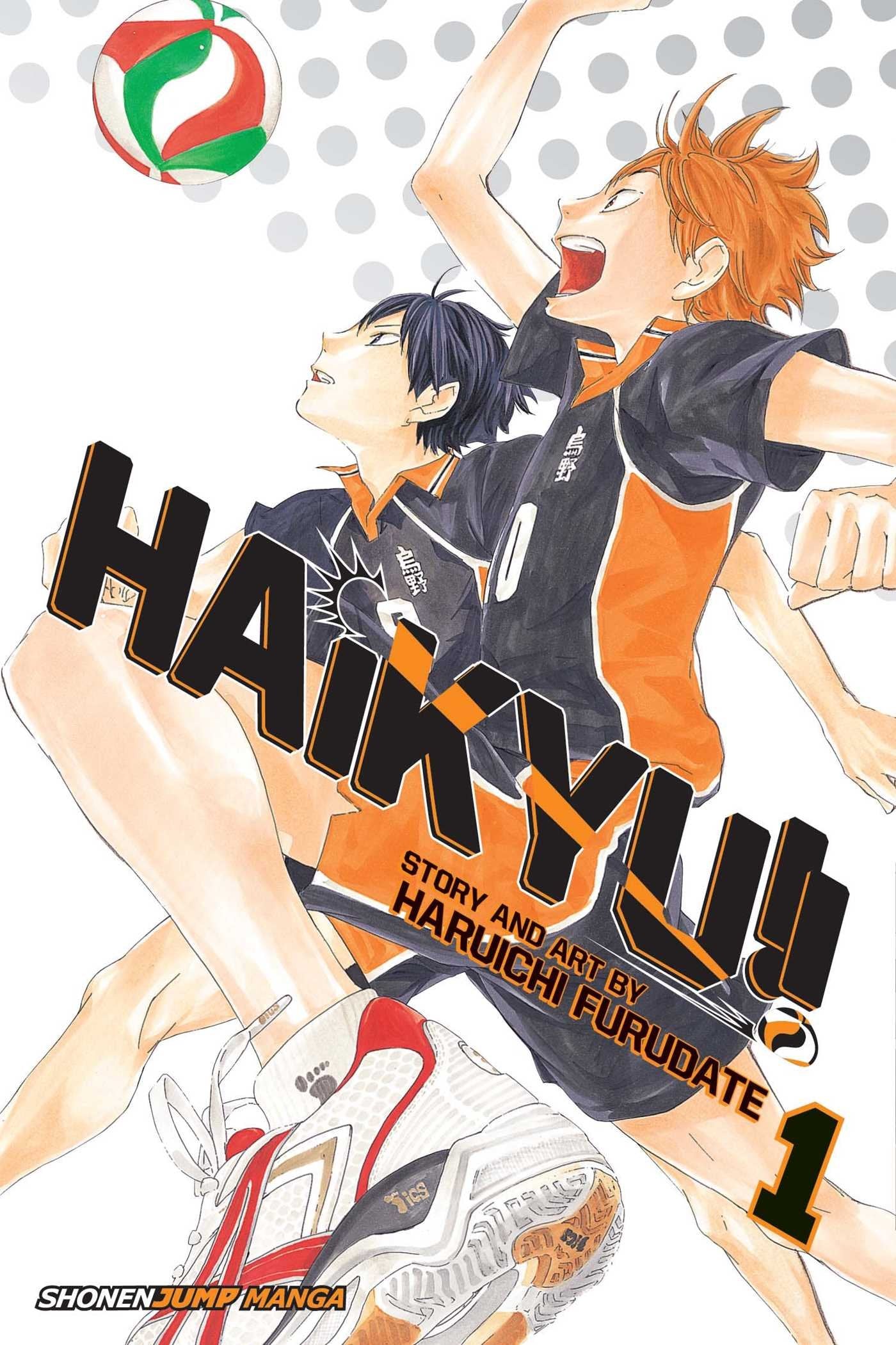 Haikyu!!, Vol. 1 - Booksondemand