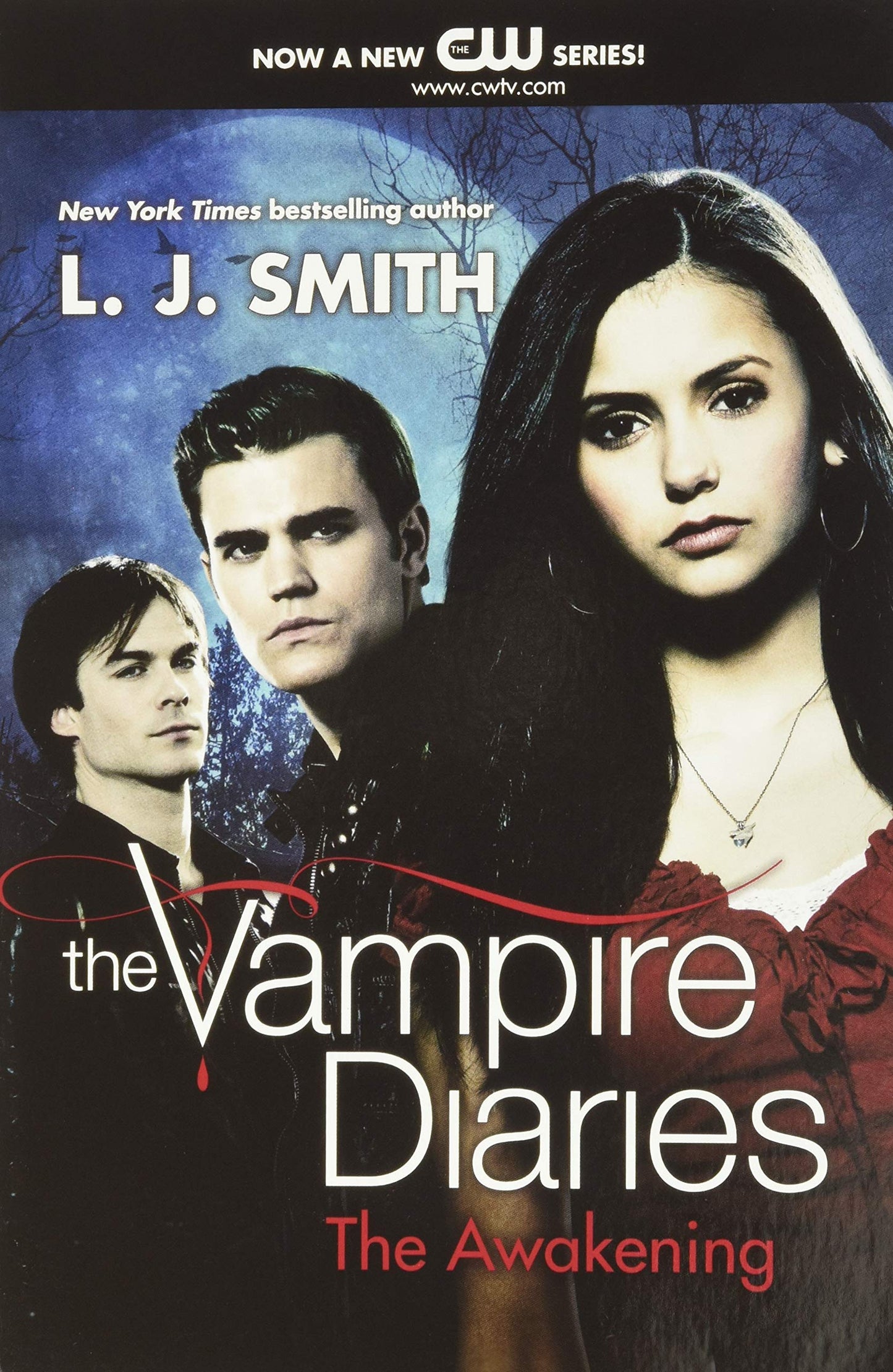 The Vampire Diaries 1 : The Awakening - Booksondemand