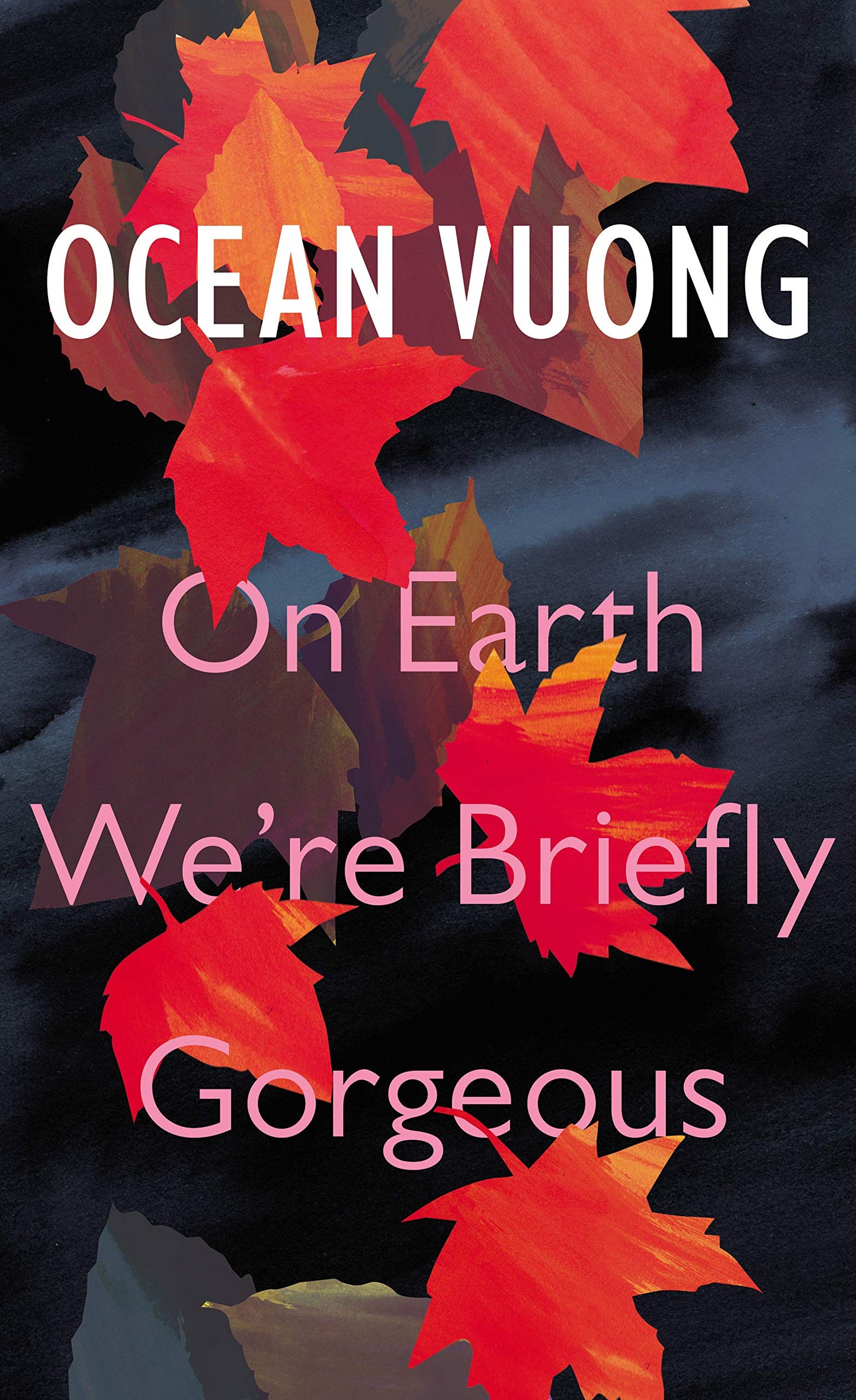 On Earth We're Briefly Gorgeous - Booksondemand