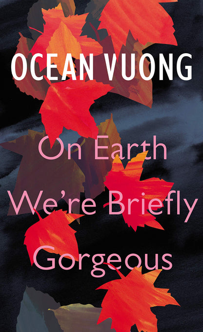 On Earth We're Briefly Gorgeous - Booksondemand