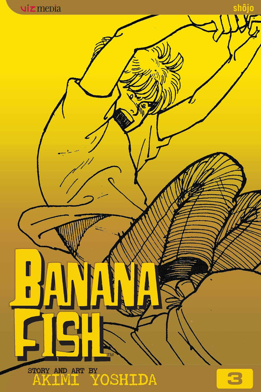 Banana Fish, Vol. 3 - Booksondemand