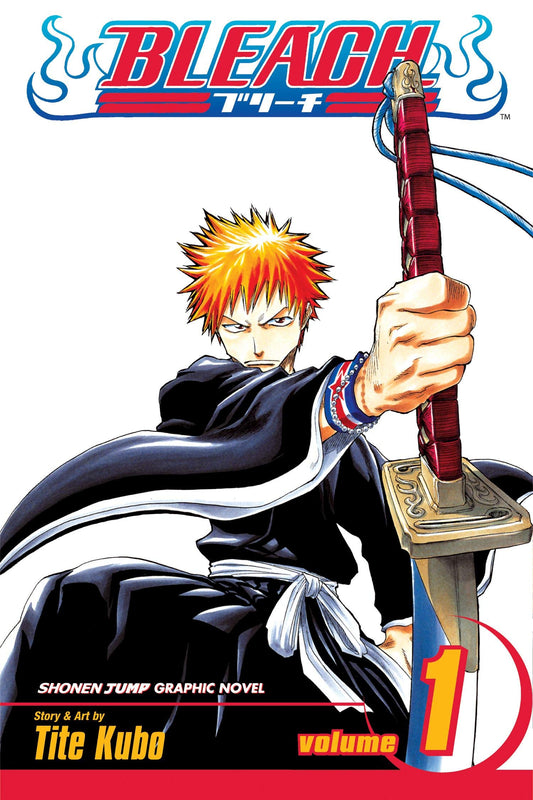 Bleach Volume 1 - Booksondemand