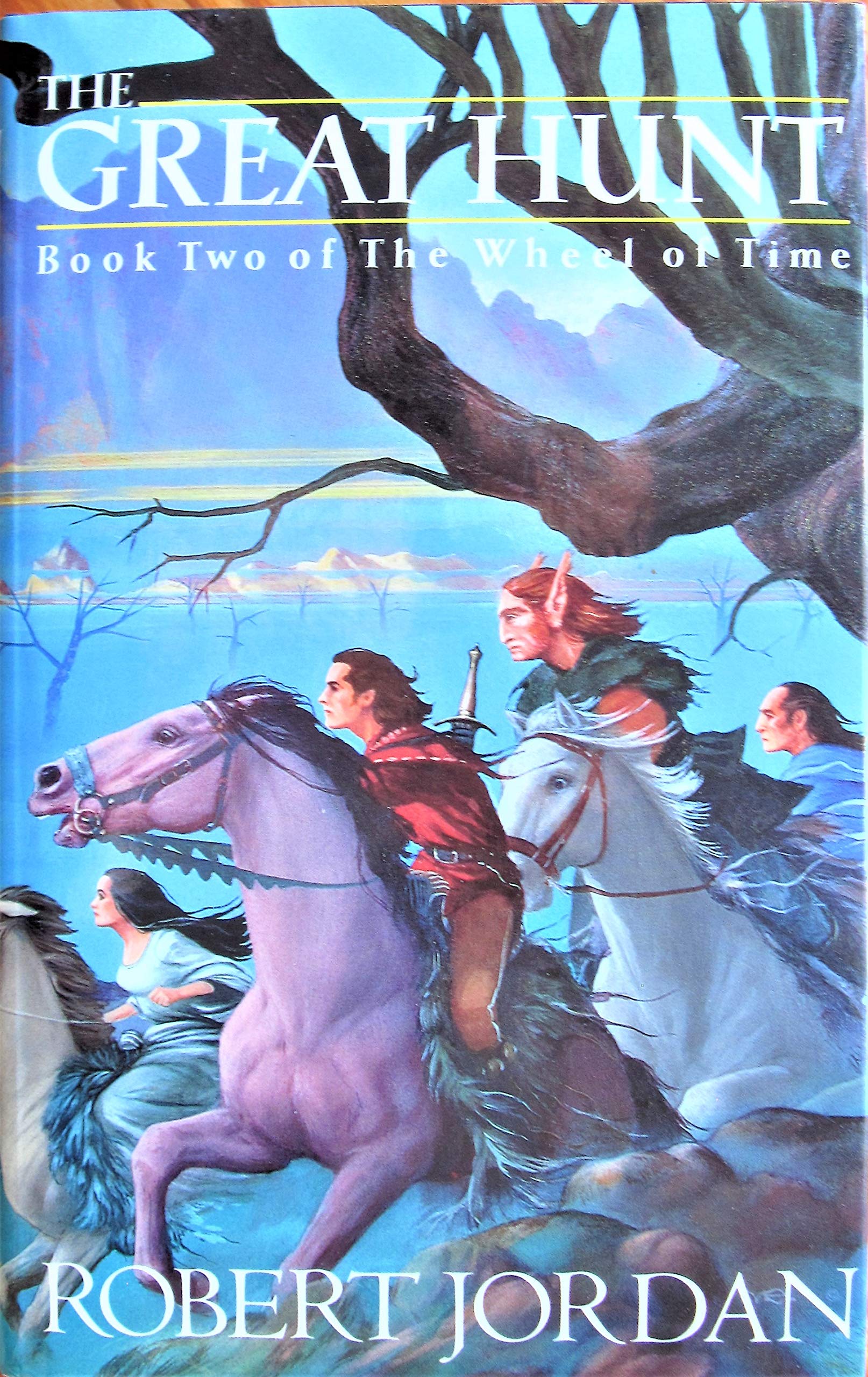 The Wheel of Time 2: The Great Hunt - Booksondemand