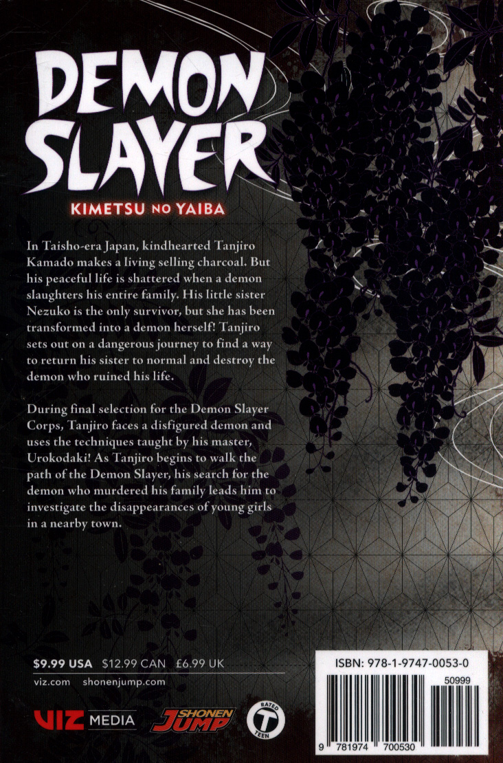 Demon Slayer: Kimetsu no Yaiba, Vol. 2 - Booksondemand